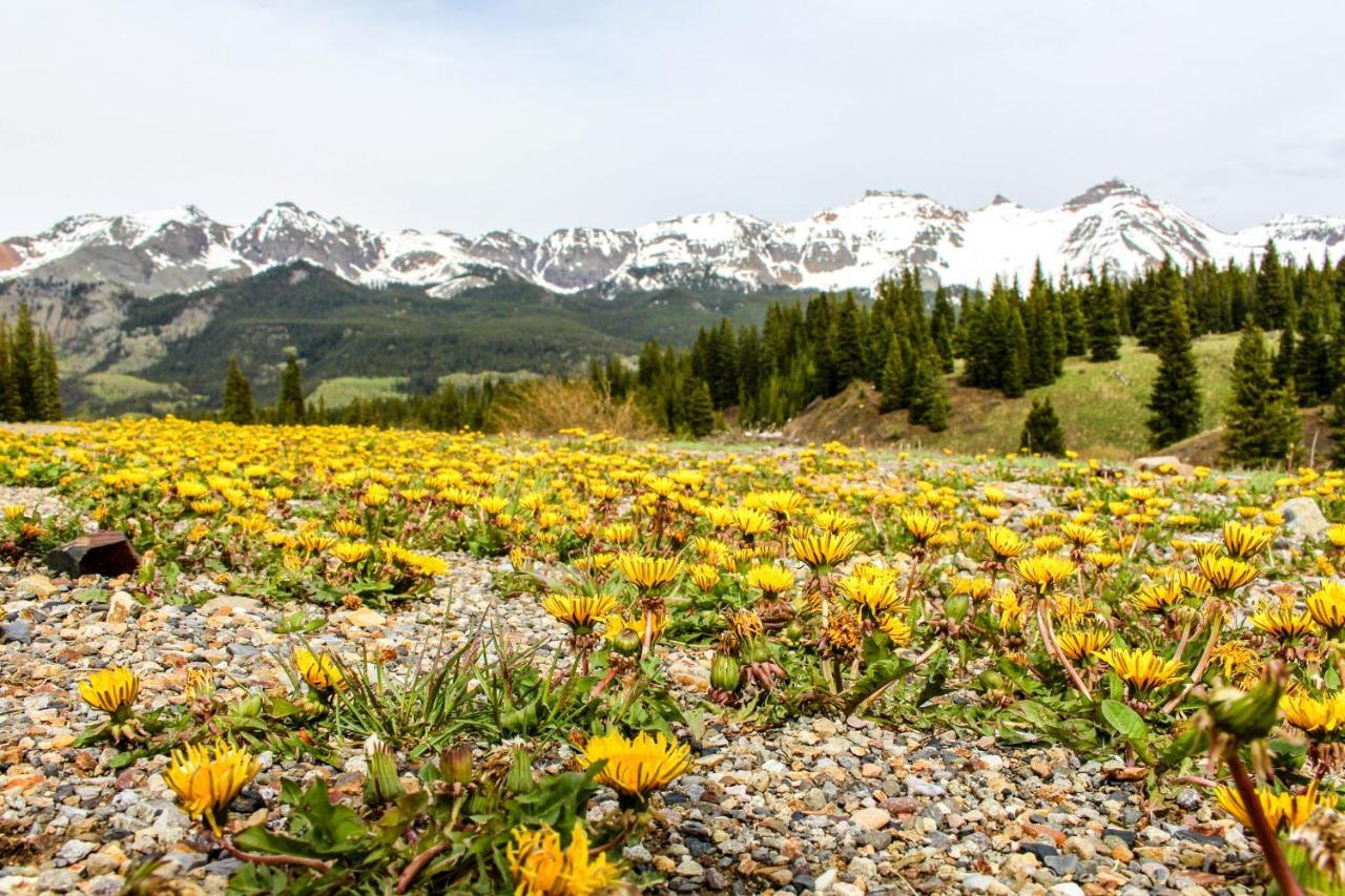 Mountain Lodge Telluride Oda fotoğraf